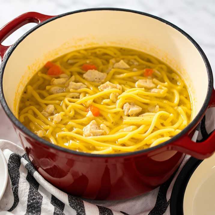 Dutch Oven Chaicken Noodle Soup Recipe